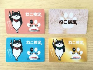 合格者有料特典