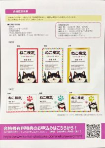 合格者有料特典