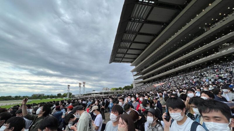 東京競馬場