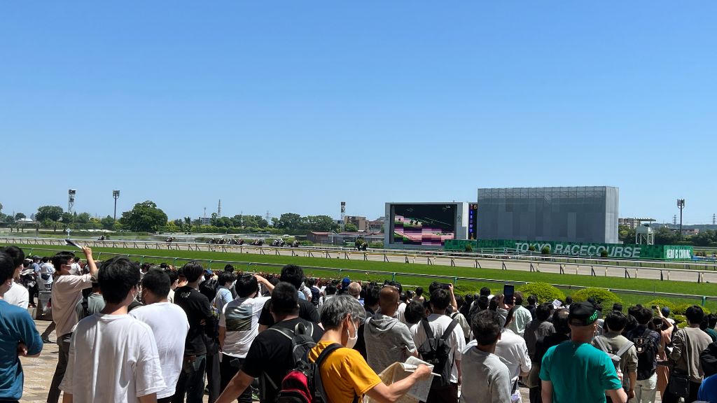 東京競馬場 日本ダービー 2022年