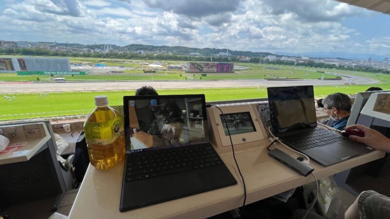 東京競馬場 エプソムC