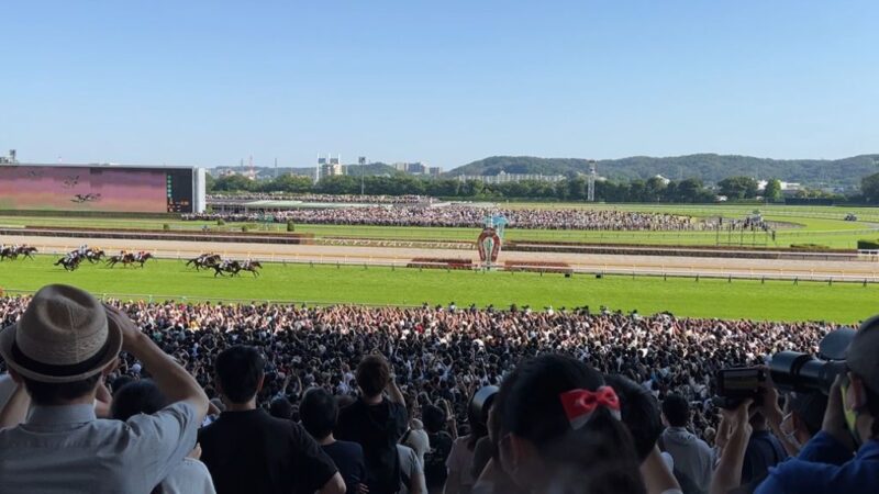 東京競馬場 日本ダービー 2022年