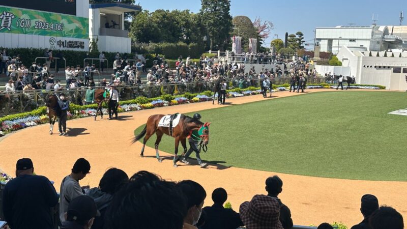 中山競馬場