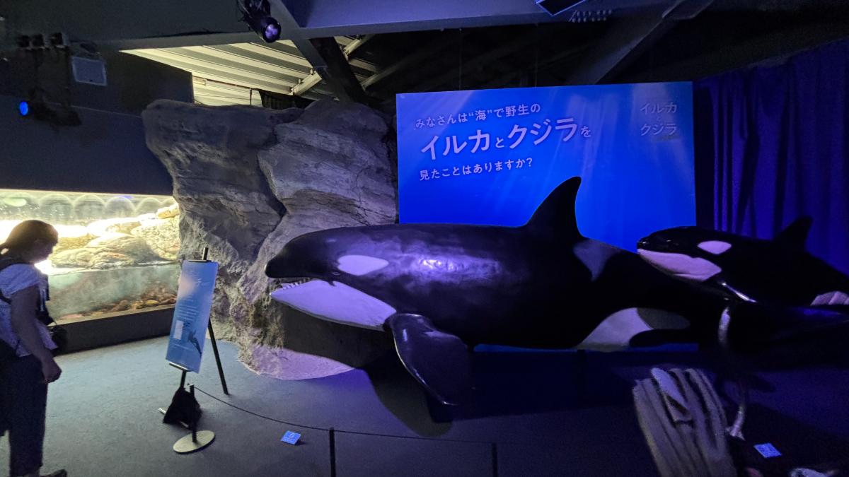 新江ノ島水族館