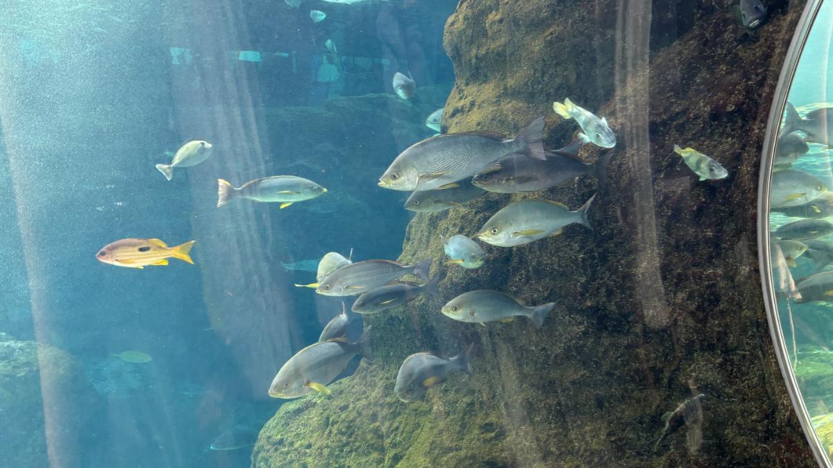 新江ノ島水族館