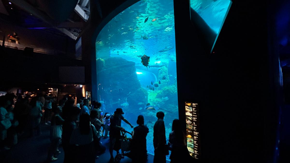 新江ノ島水族館