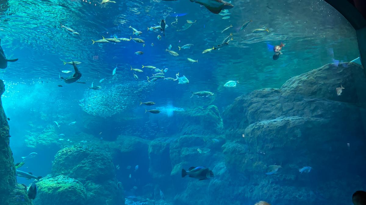 新江ノ島水族館