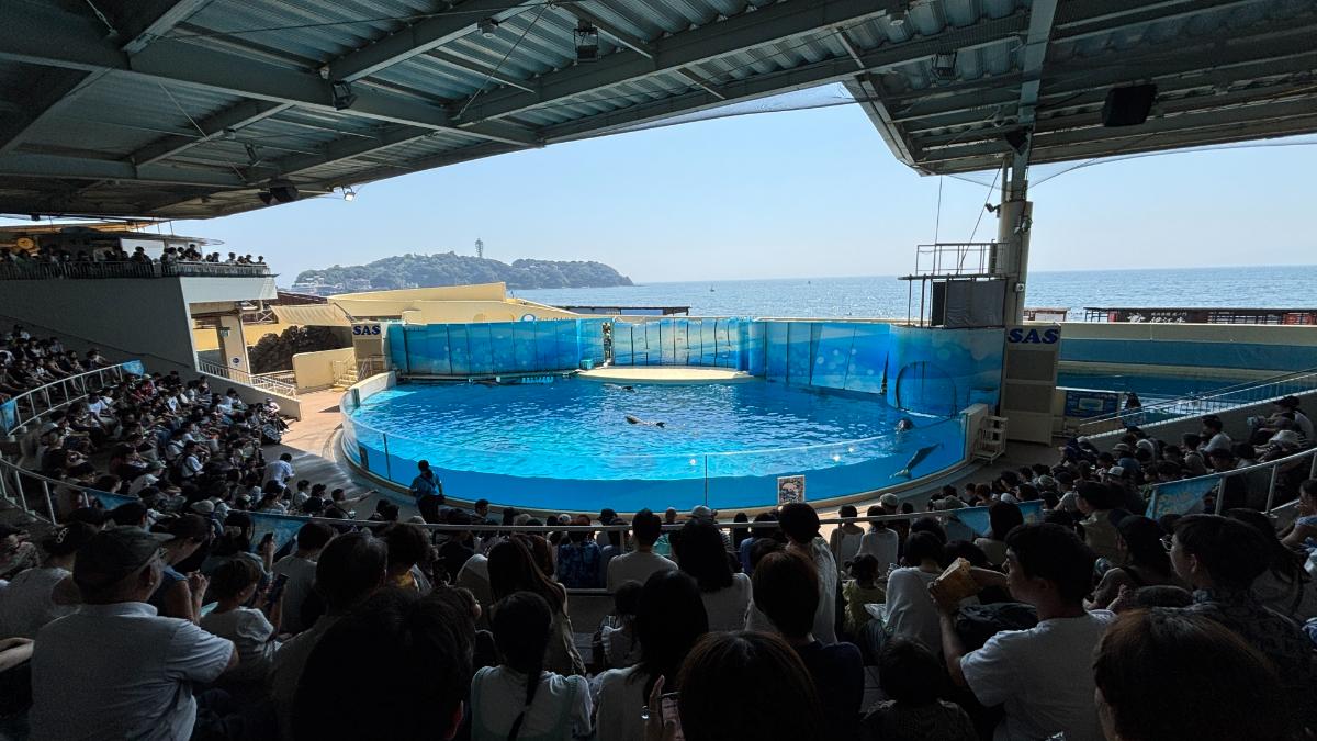 新江ノ島水族館