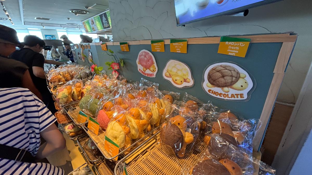 新江ノ島水族館