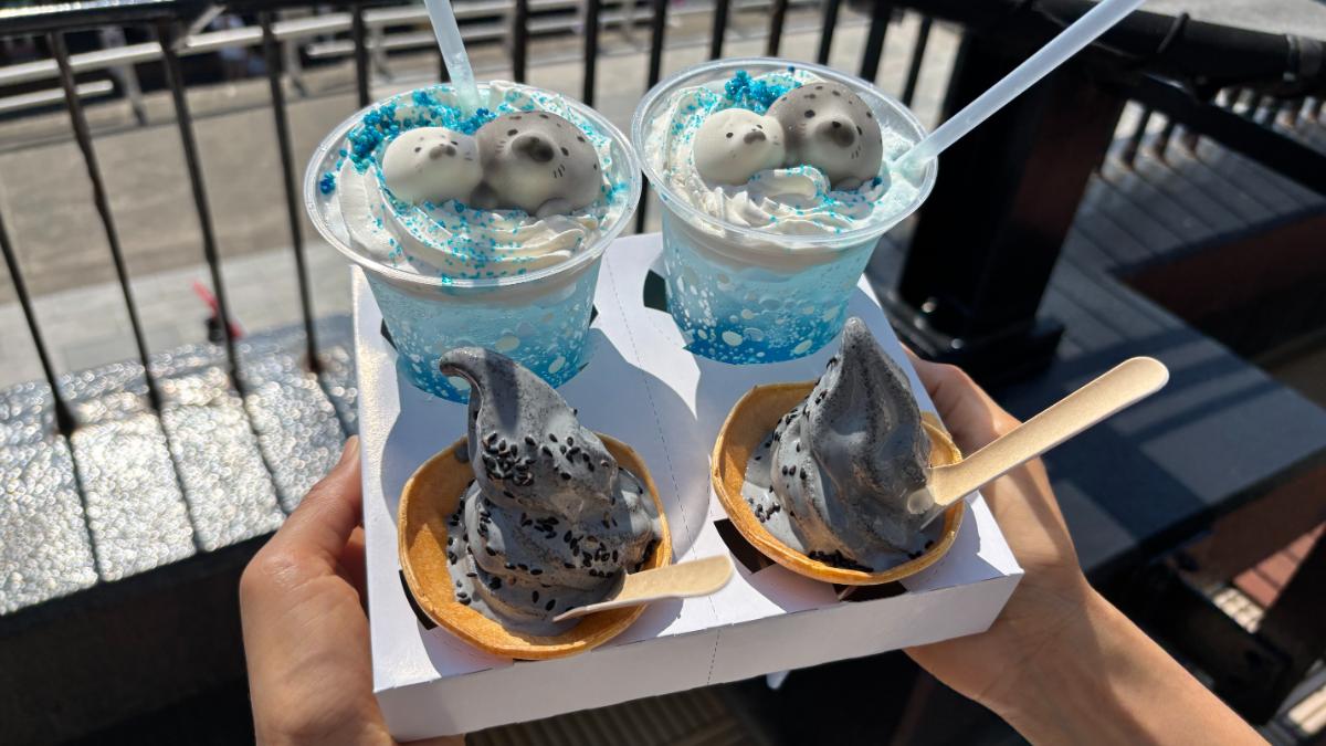 新江ノ島水族館のアザラシスイーツ