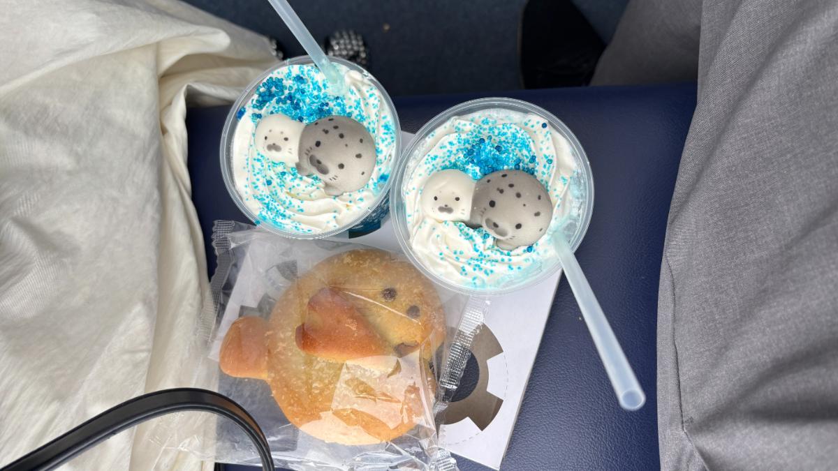 新江ノ島水族館のアザラシスイーツ