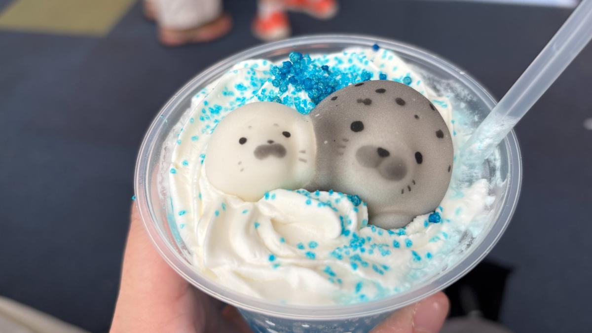新江ノ島水族館のアザラシスイーツ
