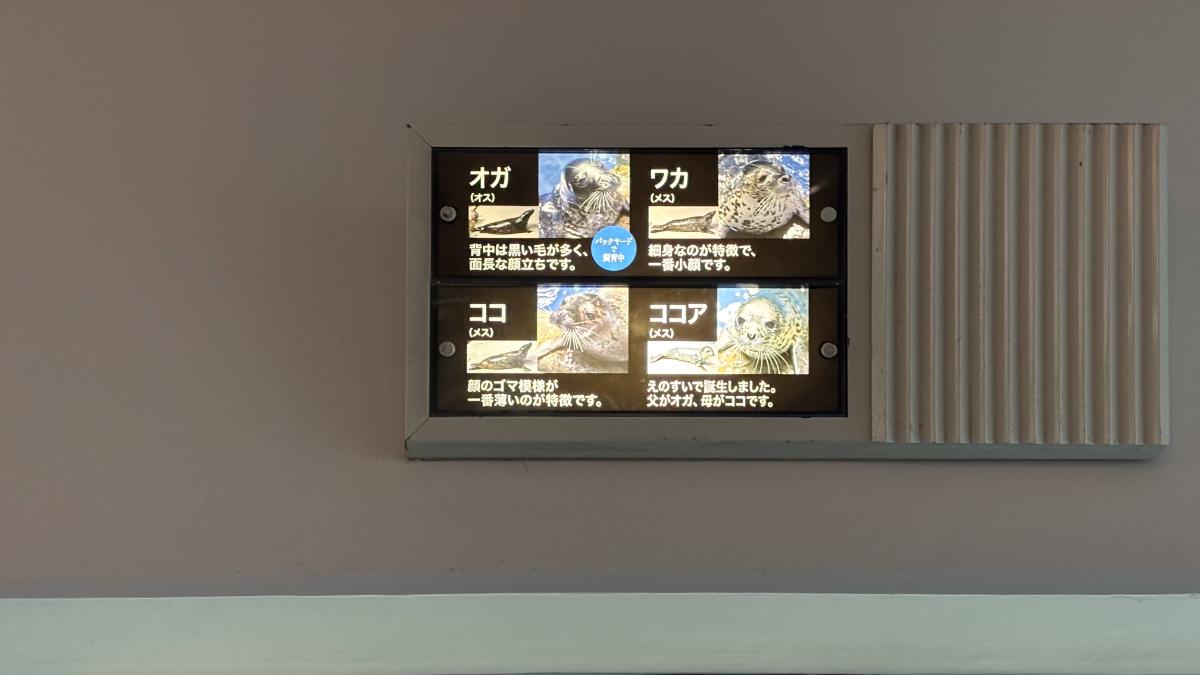 新江ノ島水族館