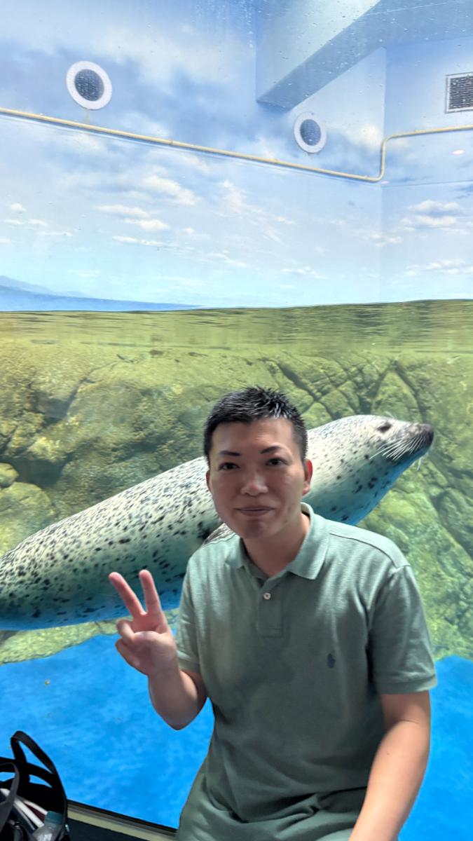 アザラシとゆたたみ