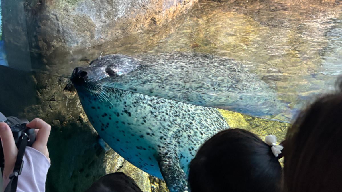 新江ノ島水族館