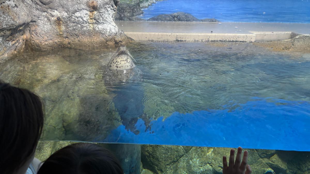 新江ノ島水族館