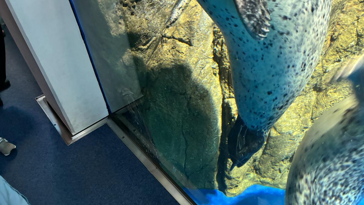 新江ノ島水族館