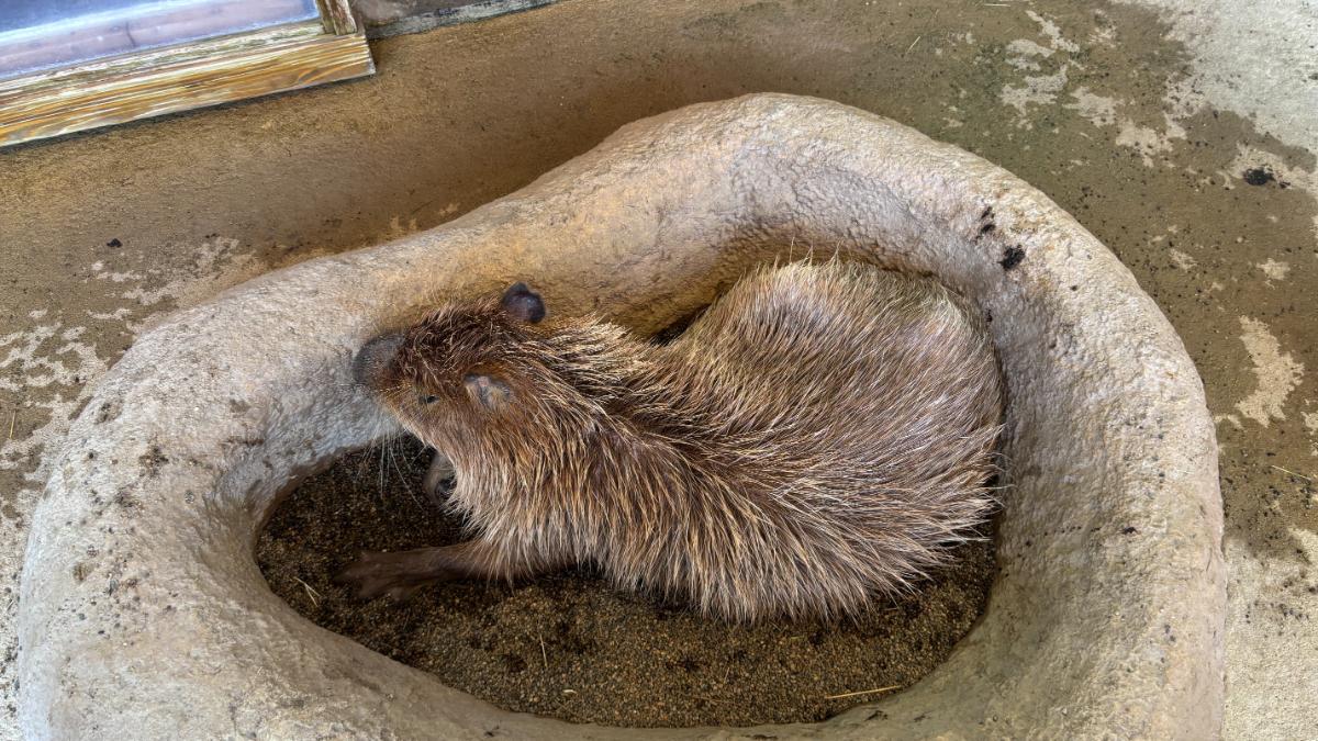 新江ノ島水族館